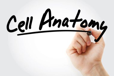 Hücre anatomi marker ile yazma el
