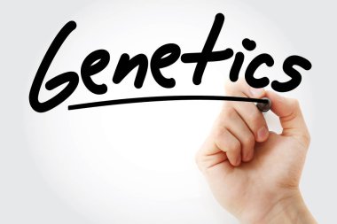 Genetik marker ile yazma el