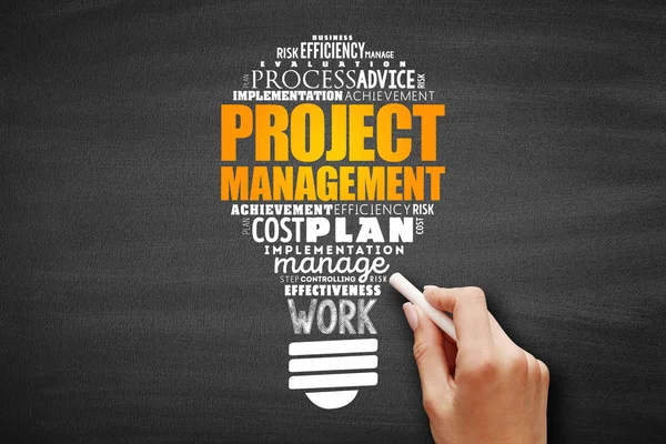 The Project Management light bulb word cloud colage — стокове фото