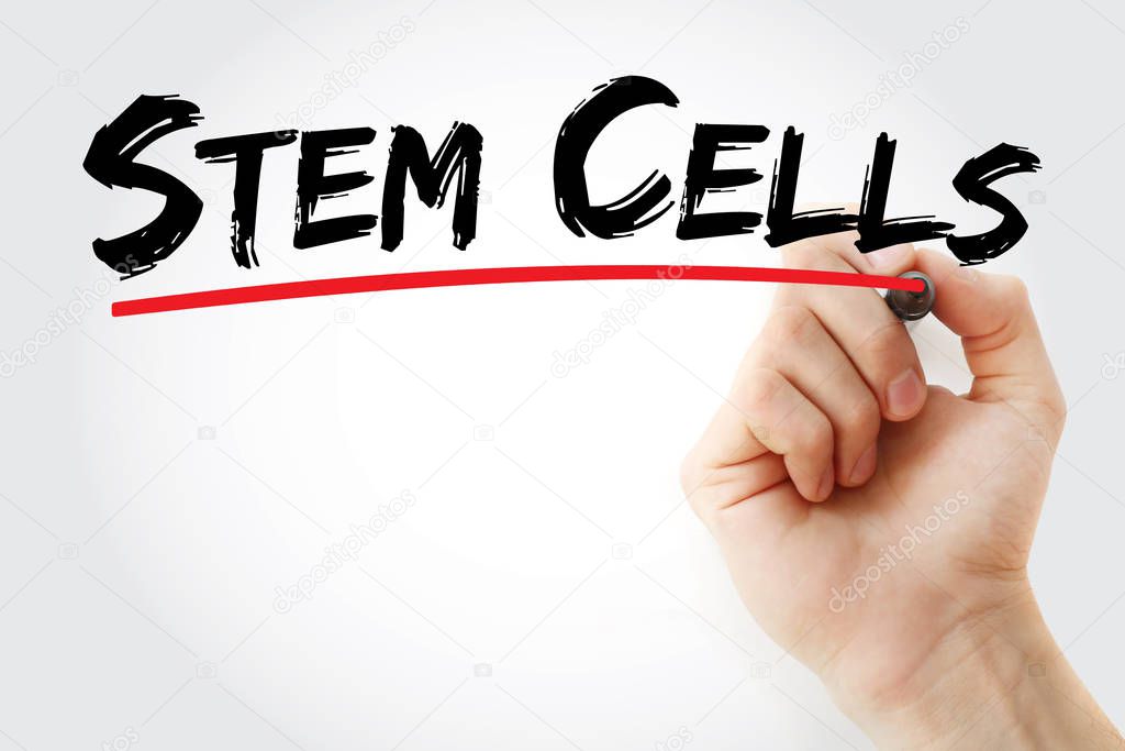 Stem cells text with marker