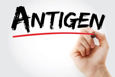 İşaretli antijen metni
