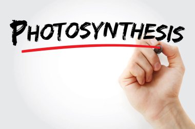 İşaretli fotosentez metni