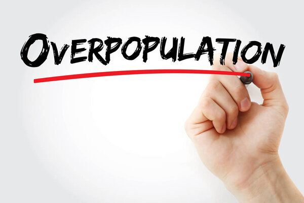 текст перенаселения с маркером
