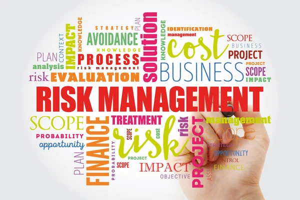 Risk Management Word хмарний колаж — стокове фото