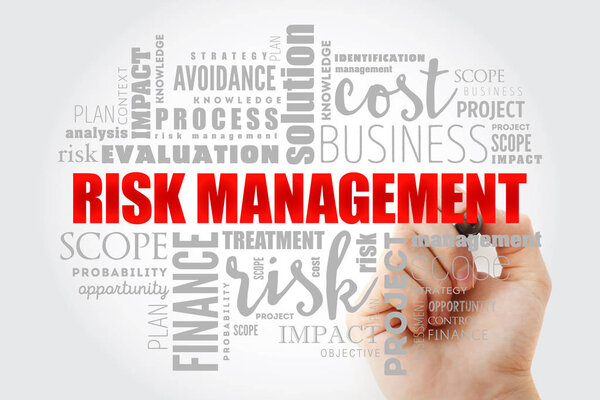 Risk Management word cloud collage