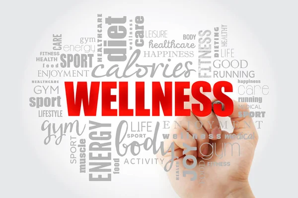 WELLNESS palavra nuvem colagem — Fotografia de Stock