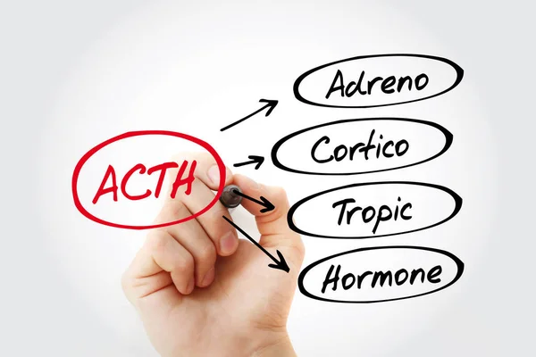 ACTH - Acrónimo de hormona adrenocorticotropa —  Fotos de Stock