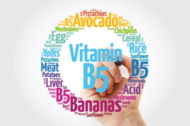 Vitamin B5 word cloud collage, health concept clipart