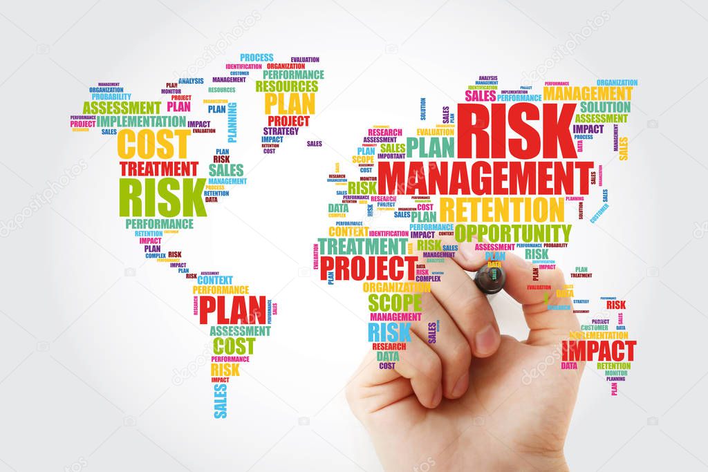 Risk Management word cloud concept background