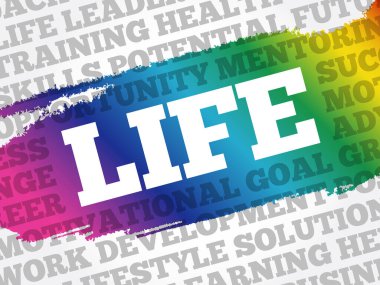 HAYAT Kolajı, Zindelik, Sağlık Konsepti