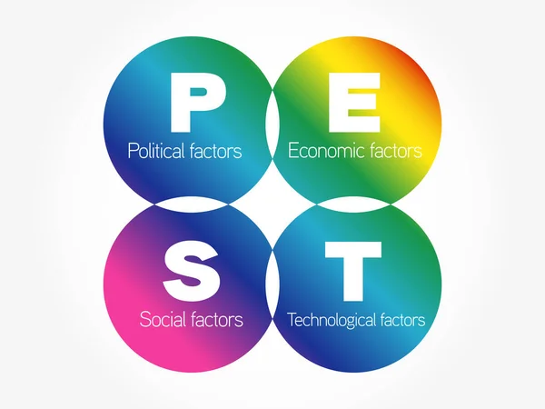 Pest Business Infographie Diagramme Présentation Stratégie Analyse — Image vectorielle