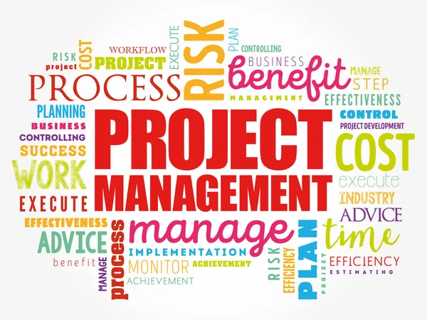 Project Management Word Cloud Collage Business Concept Background — Stock Vector