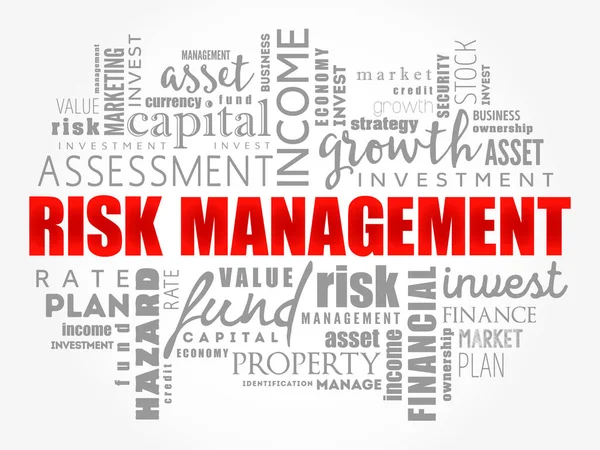 Risk Management Word Cloud Business Concept — Stock Vector
