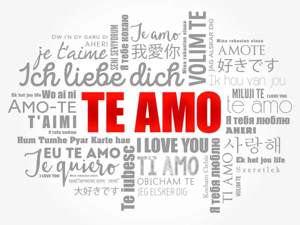 Amo Love You Portuguese Diferentes Idiomas Mundo Fundo Nuvem Palavras — Vetor de Stock