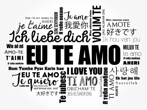 Amo Love You Portuguese Different Languages World — Stock Vector