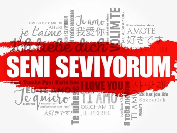Seni Seviyorum Jeg Elsker Dig Tyrkisk Forskellige Sprog Verden – Stock-vektor