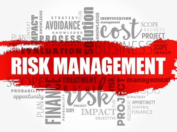 Risk Management Word Cloud Collage Business Concept Background — Stock Vector