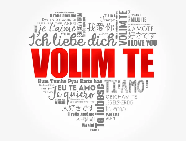 Volim Love You Croatian Word Cloud Love Heart Different Languages — Stockový vektor