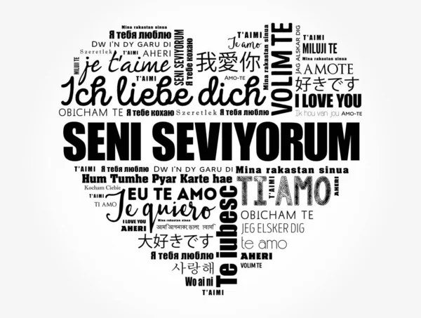 Seni Seviyorum トルコ語で私はあなたを愛しています は世界の異なる言語でハートワードクラウドを愛しています — ストックベクタ