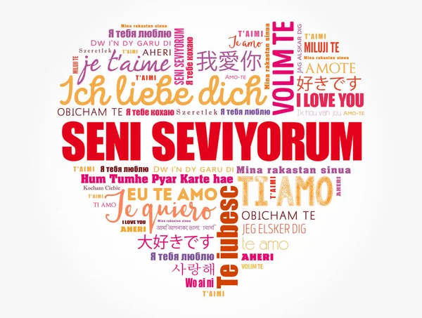 Seni Seviyorum Love You Török Nyelven Szerelem Szív Szó Felhő — Stock Vector