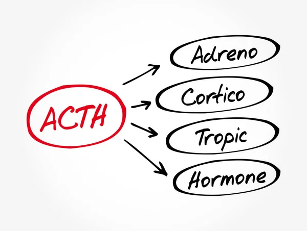 Acth Hormônio Adrenocorticotrópico Acrônimo Fundo Conceito Médico — Vetor de Stock