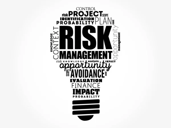 Risk Management Light Bulb Word Cloud Business Concept Background — Stock Vector