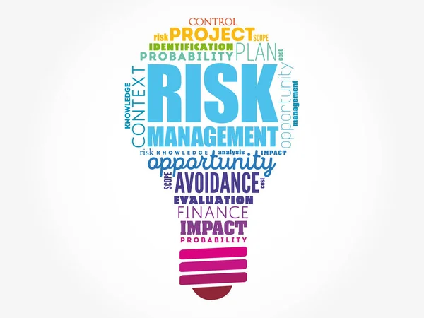 Risk Management Light Bulb Word Cloud Business Concept Background — Stock Vector