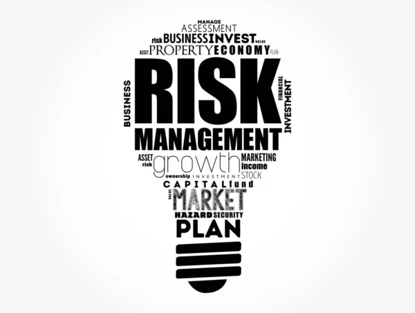 Risikomanagement Glühbirne Wort Wolke Collage Geschäftskonzept Hintergrund — Stockvektor