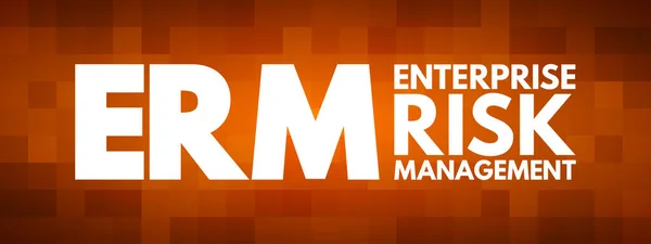 Erm Enterprise Risk Management Acronym Business Concept Background — Stock Vector