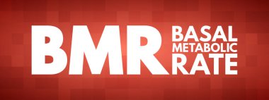 BMR - Temel Metabolik Oran kısaltması, kavram geçmişi