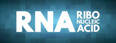 RNA - Ribonükleik asit kısaltması, tıbbi kavram geçmişi