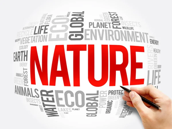 Natureza Palavra Nuvem Colagem Ecologia Conceito Fundo — Fotografia de Stock