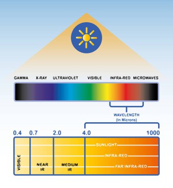 The light spectrum. Infrared light. clipart