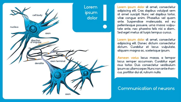 神経細胞のコミュニケーション。ニューロンだけで 1 図. — ストックベクタ