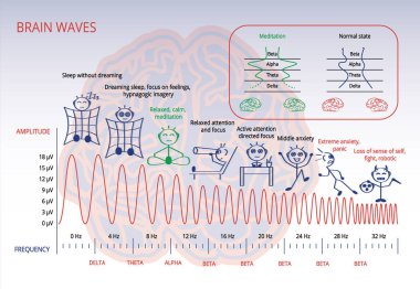 Beyin infografik elektromanyetik spektrum