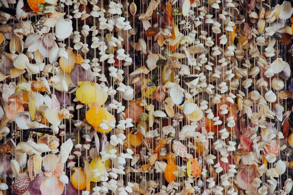 curtain of sea shells for decoration local Bali