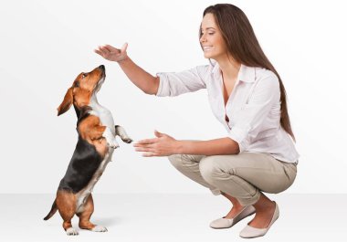 genç güzel kadın köpekle oynamayı