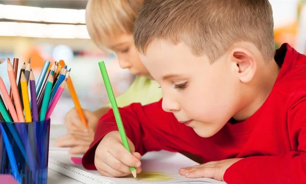 Zwei kleine Jungen studieren Fach — Stockfoto