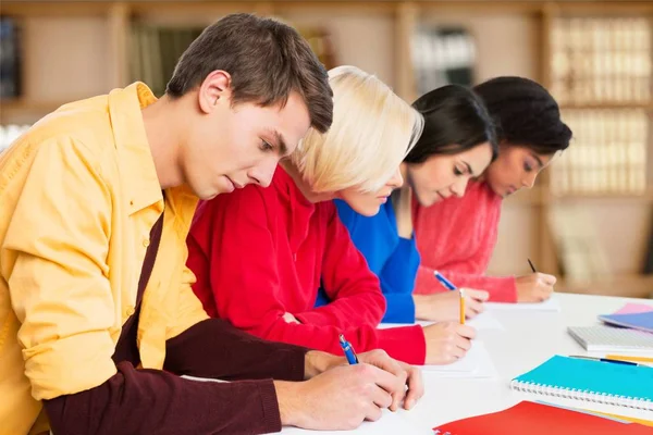 Jovens estudantes estudando disciplina — Fotografia de Stock