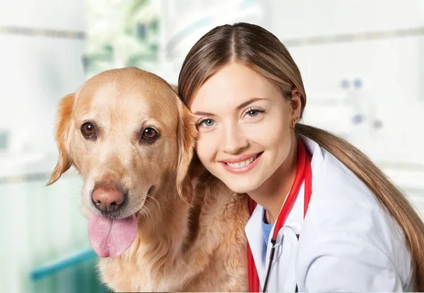 Vrouwelijke arts met canine patiënt — Stockfoto