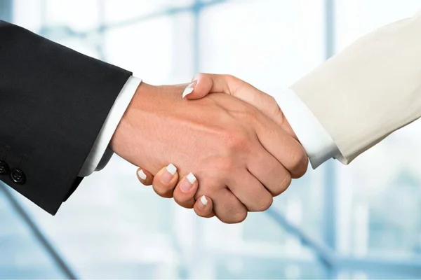 Business handshake e pessoas de negócios — Fotografia de Stock