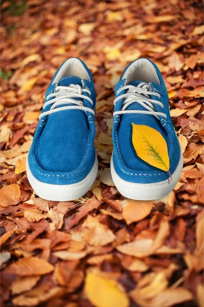 Scarpe blu su sfondo foglie — Foto Stock
