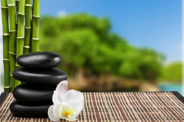 Zen basalt stenar och blomma — Stockfoto