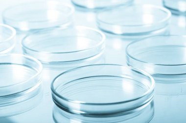 bilim laboratuvar test tüpleri 