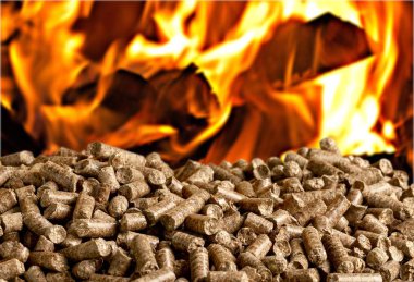 Pellet Biomass-yakın görünüm