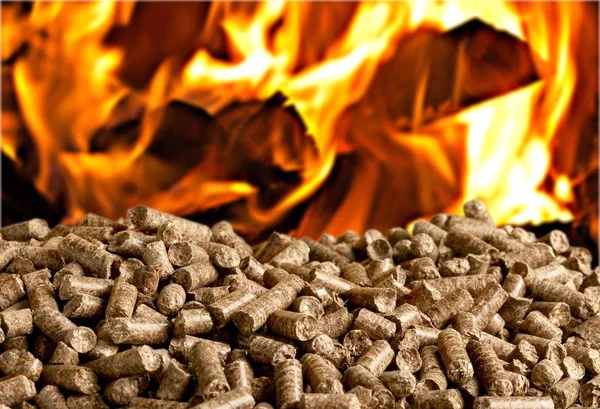 Pellets Biomasse Nahsicht — Stockfoto