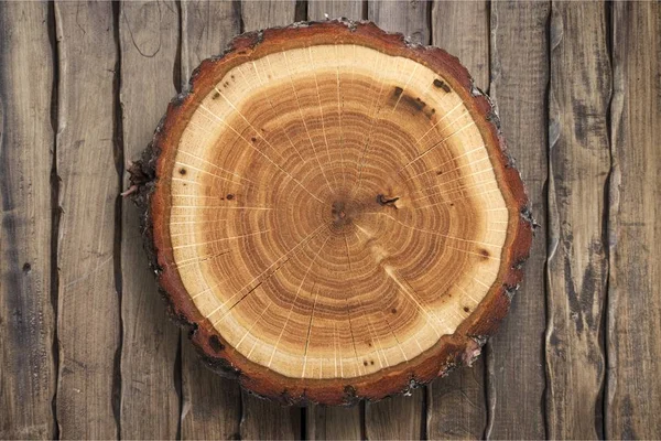 Roung cut of tree — Stock Photo, Image