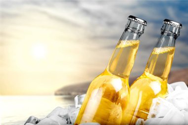 Soğuk bira şişesi