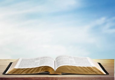 parlak zemin üzerine açık kitap 