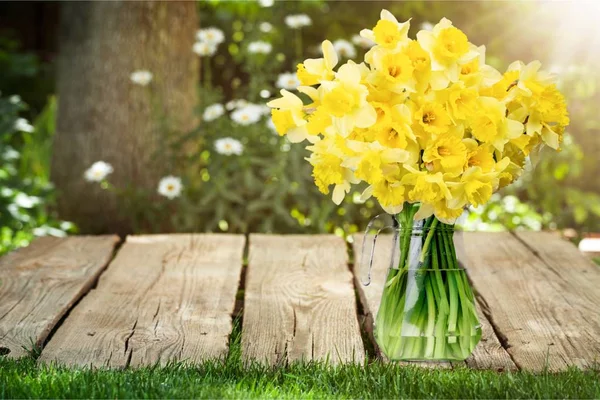 Narcisser blommor i vas — Stockfoto